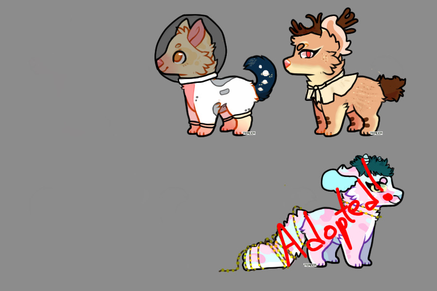 finished adopts; space, forest, and whatever that is