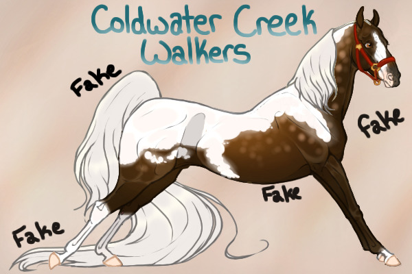 entry 1 - appaloosa stallion