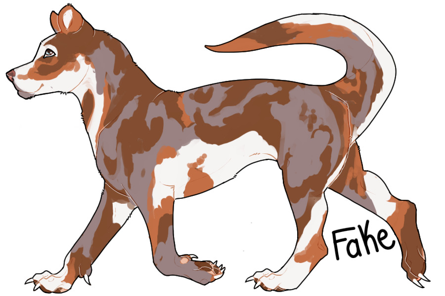 Red Merle