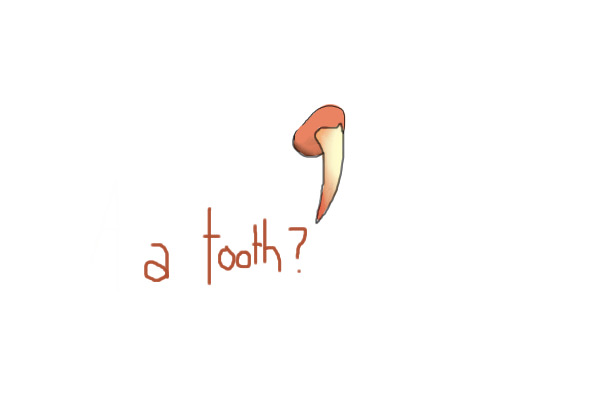 a tooth?