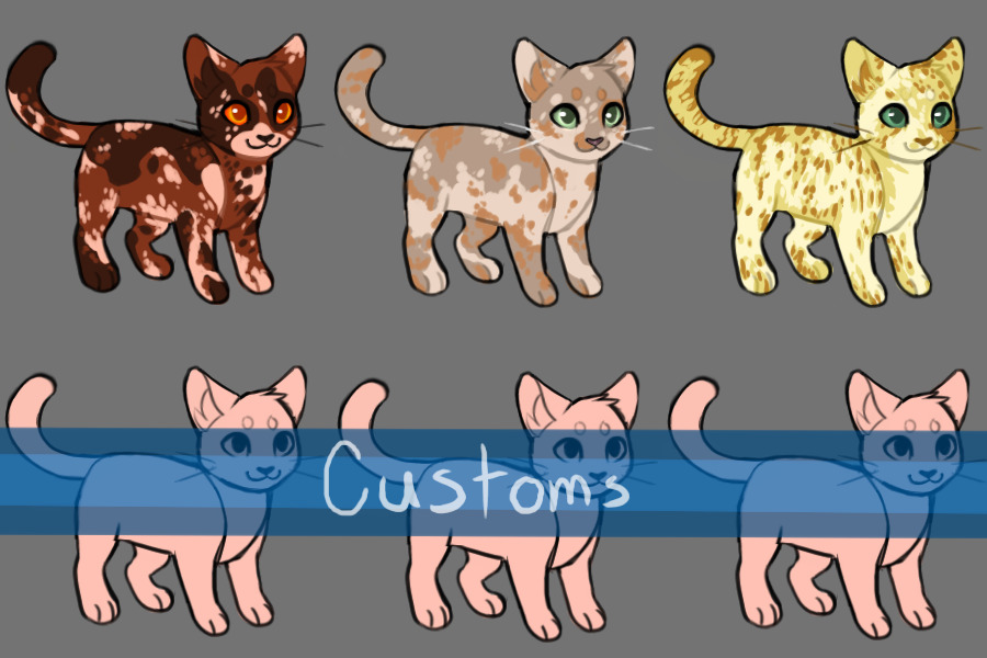 Cat adopts 3 + Customs