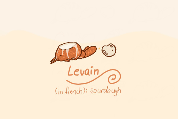 levain the breadbowl breadsopod