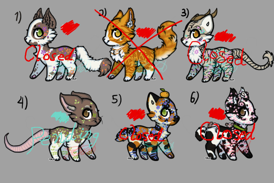 Catto Adopt Batch 4