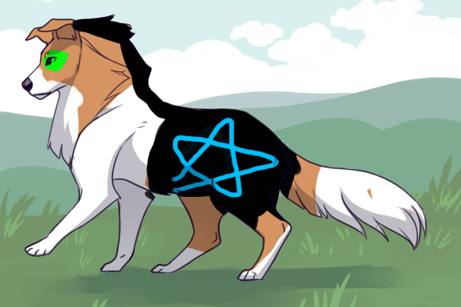 New Adopt!!!