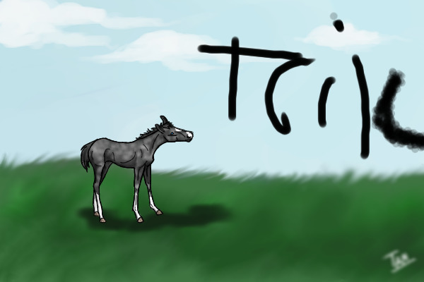 Trik