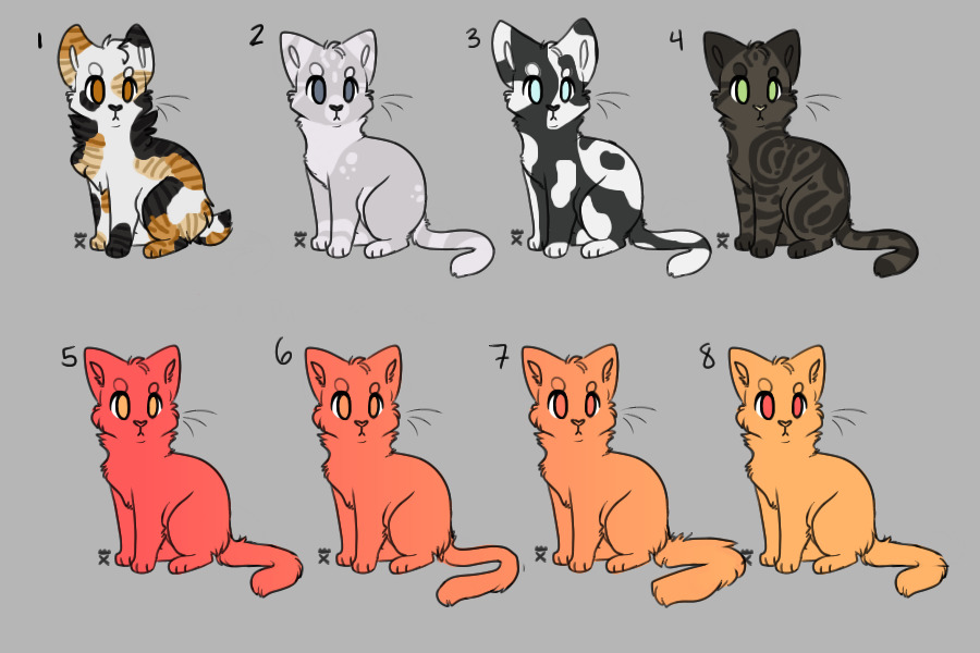 Cat adopts for c$