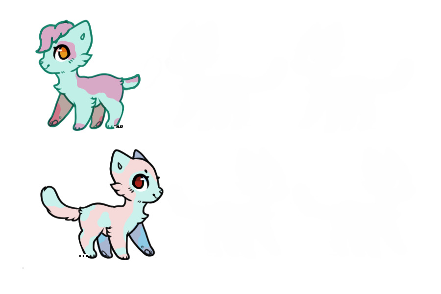 Eli and Cotton Candy