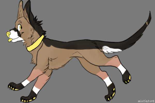 Adopt #13