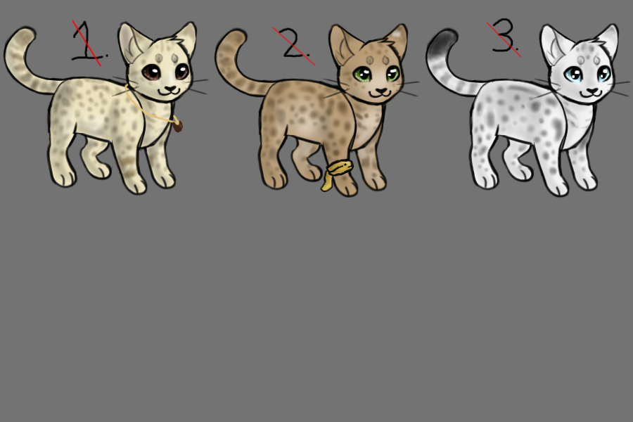 Free Cat Adopts --ANNOUNCEMENT--