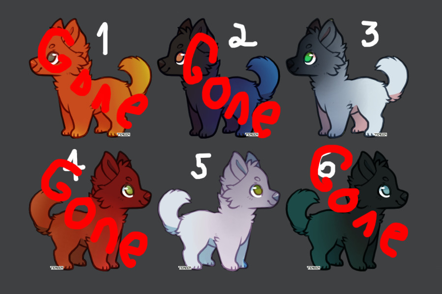 free puppers! all gone!