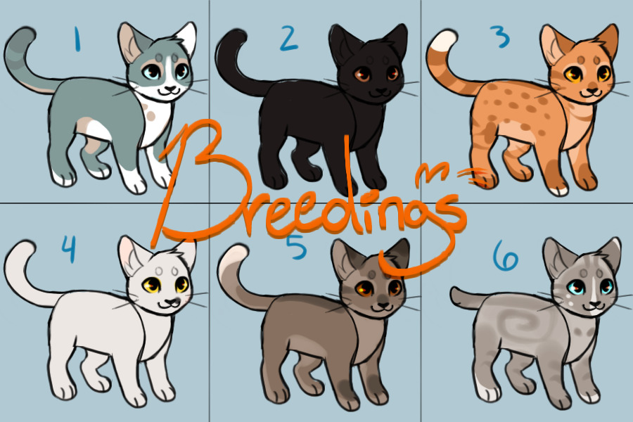 Nebbie's C$ Cat Breedings