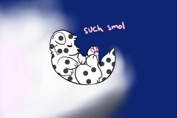 spot