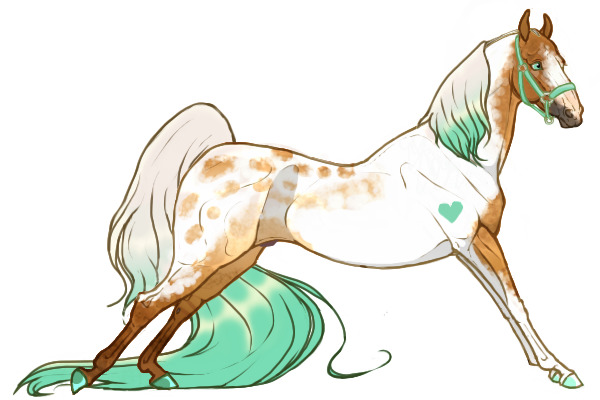 #0003 | Coldwater Creek Walkers | BAW