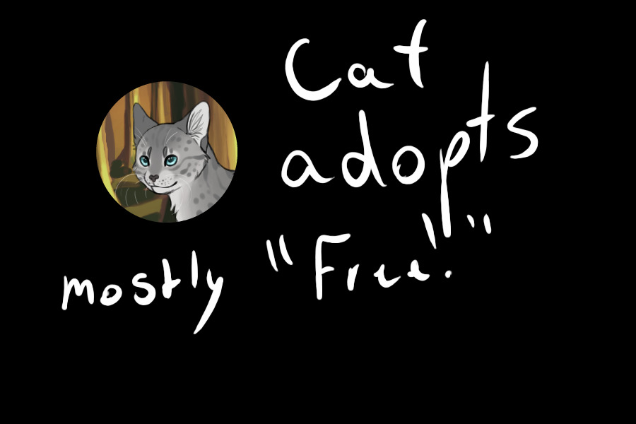 Cat adopts