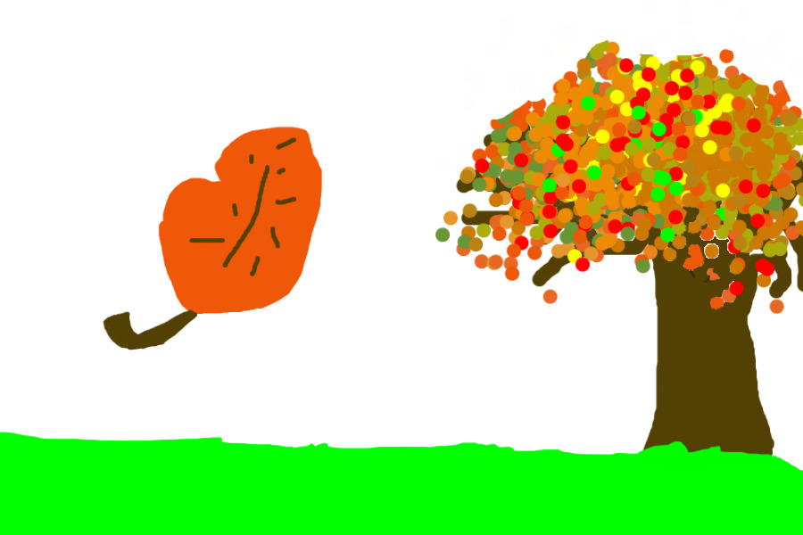 Fall Tree?