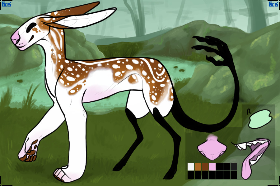 Flitz # 111 - WINNER