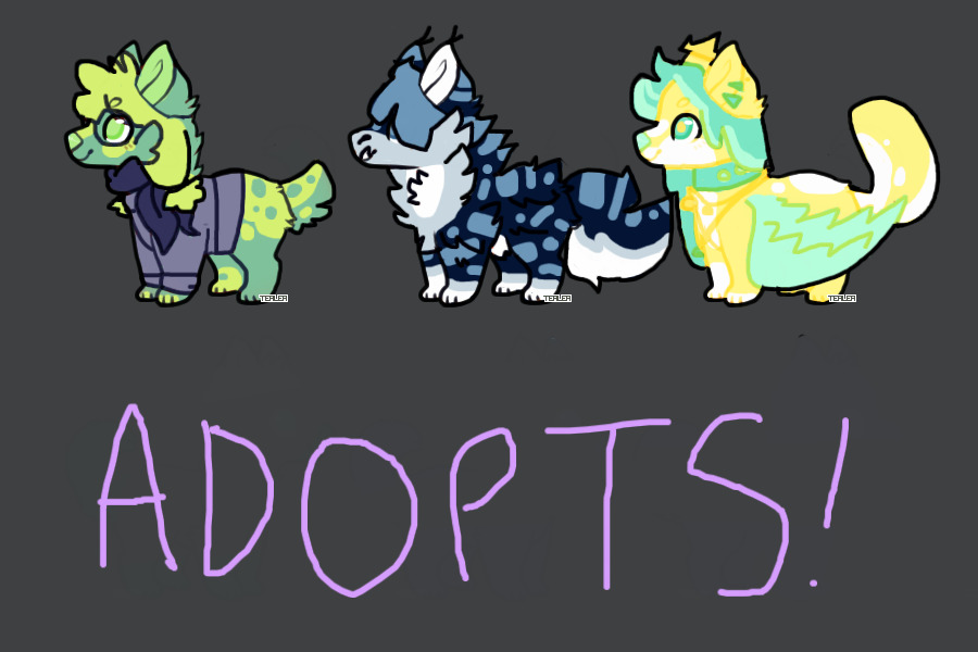 Adopts