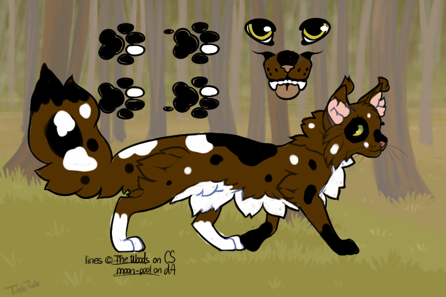 Brindlespots(my Warrior Cats OC.) dont look its just for mee