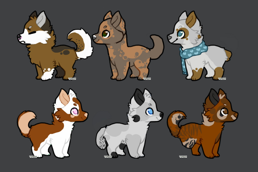 Simple Dog Adopts