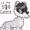 Corona avatar
