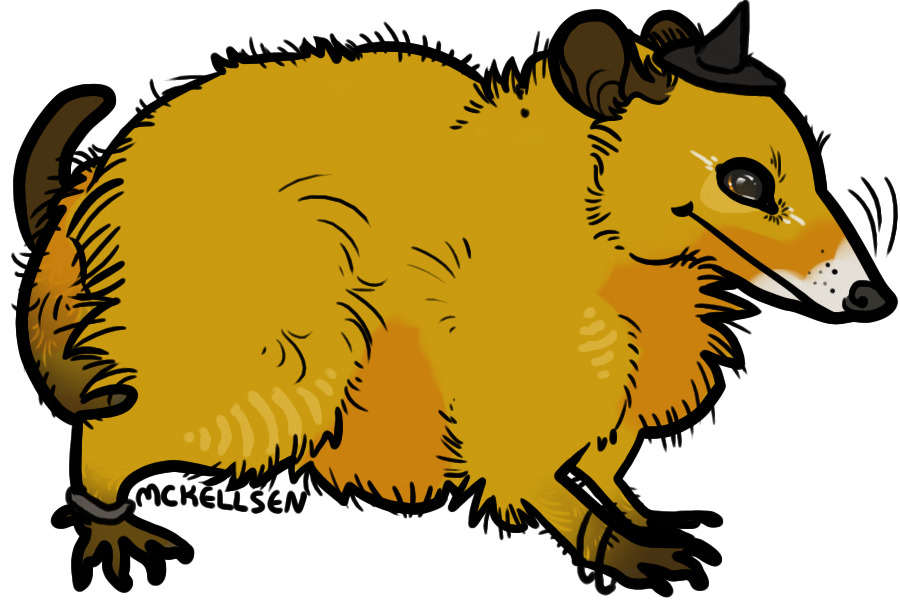 candy corn boi