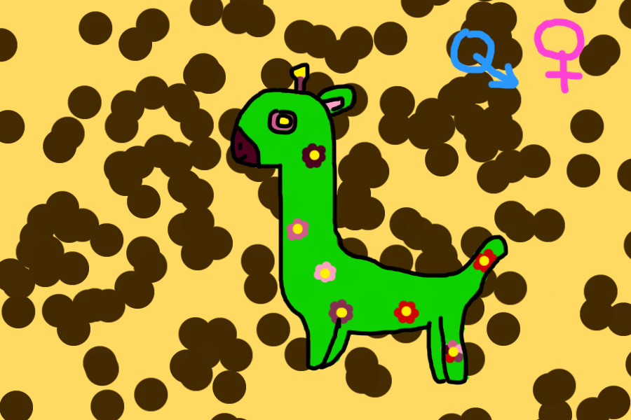 Giraffe adopt #10