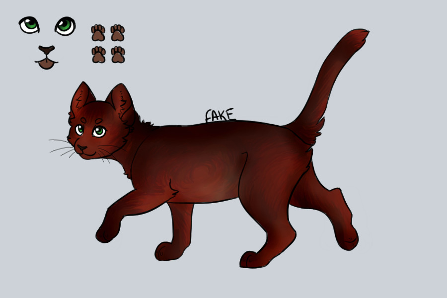 [Entry 8] Chocolate Ticked Tabby