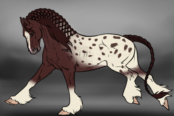 Appaloosa for Potters