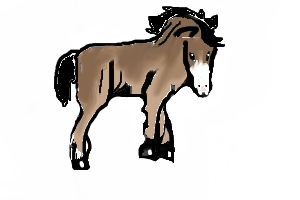 little foal