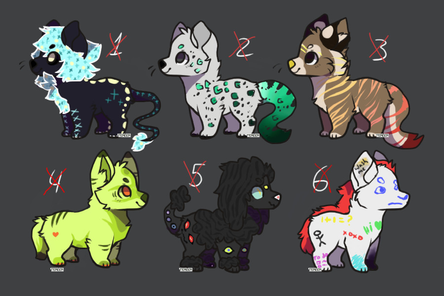Pup adopts: All adopted <3