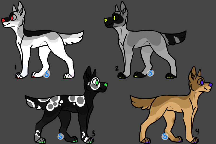 simple adopts