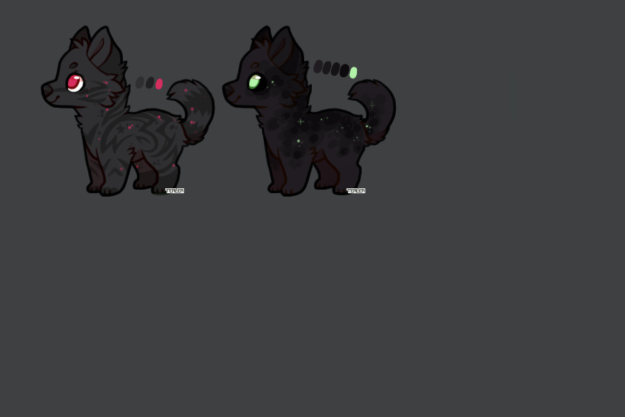 Adopts open for offers!