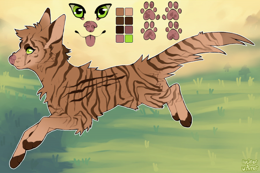 (⦔) ━━━ CHRYSOCYON 051 // Zygo