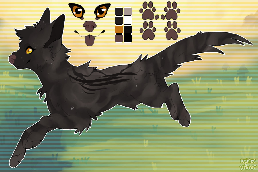 (⦔) ━━━ CHRYSOCYON 052 // Nimbus