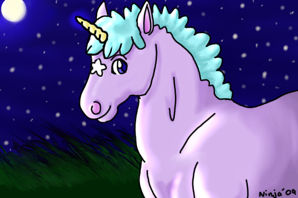 Starry night!