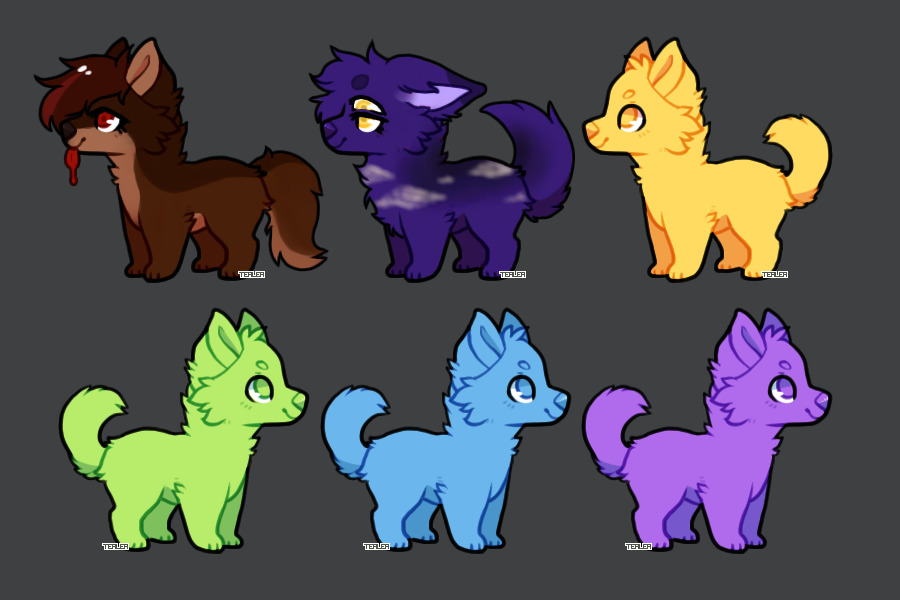 dog adopts | 2/6 complete