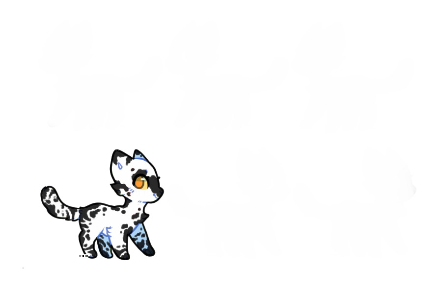 Cat Adopt 4 (adopted)