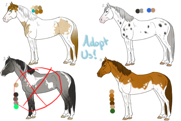 Paints and Appy UFA 3/4