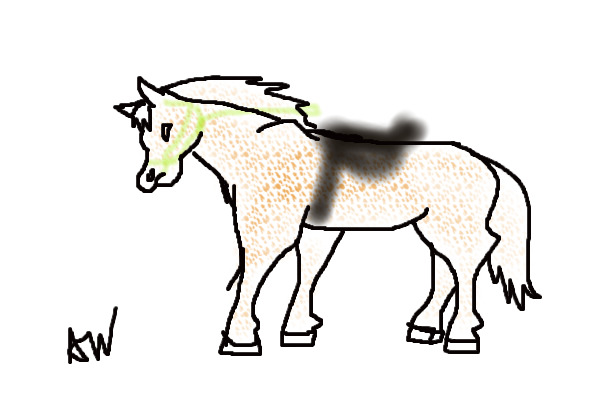 Pony
