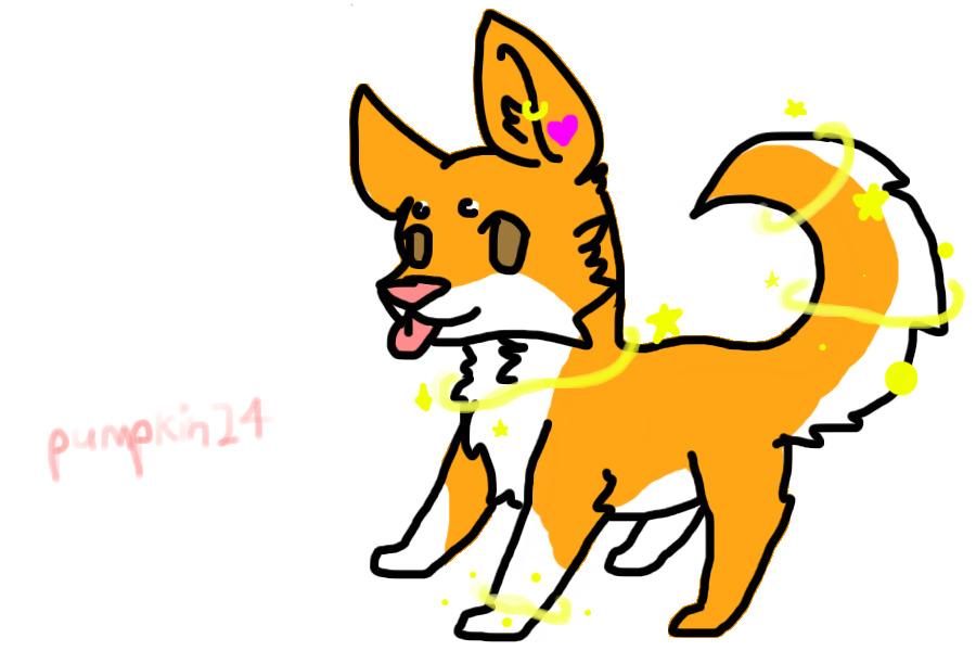 for pumpkin24