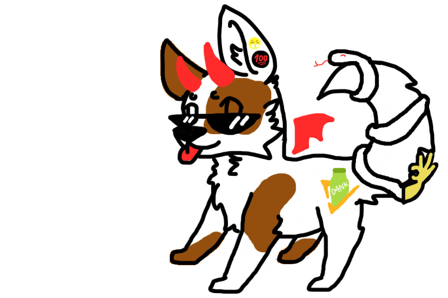 for K-9-Dog