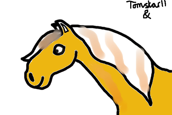 Horse