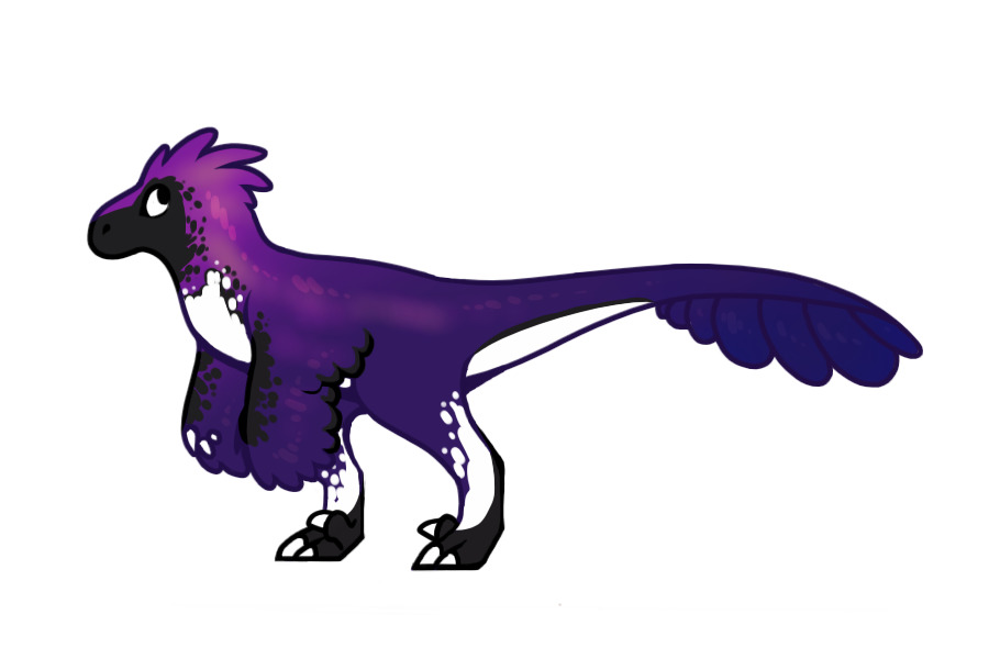purpleboi