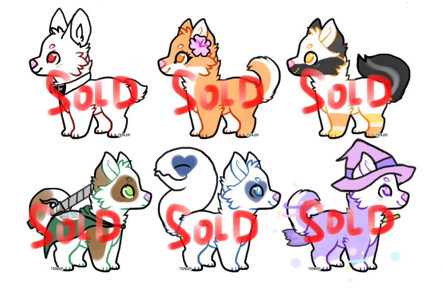 random adopts CLOSED