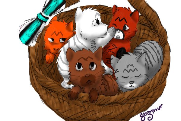 tabby litter