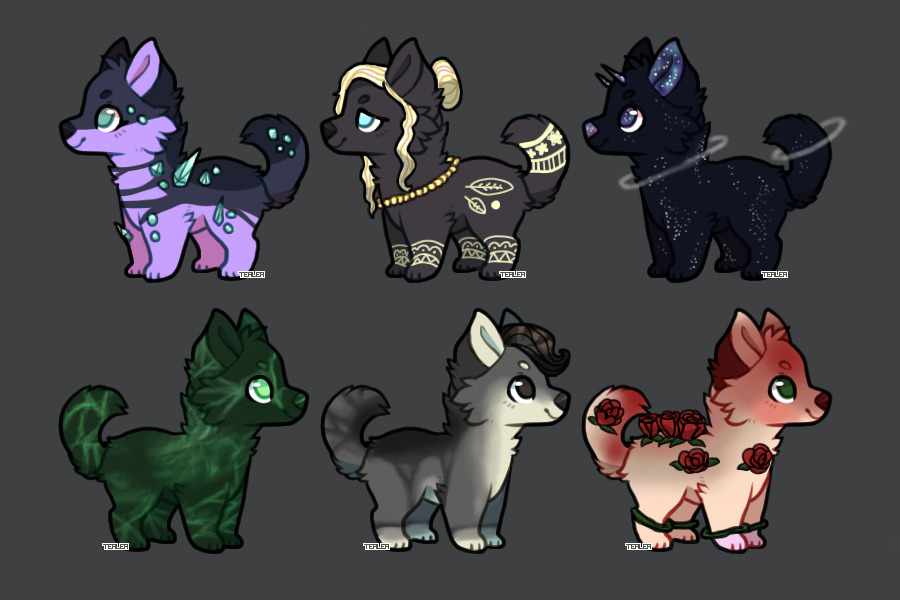 Pup Adopts!