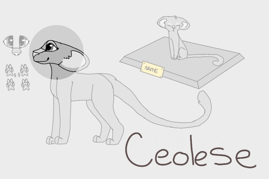 Ceolese - Semi Open Species