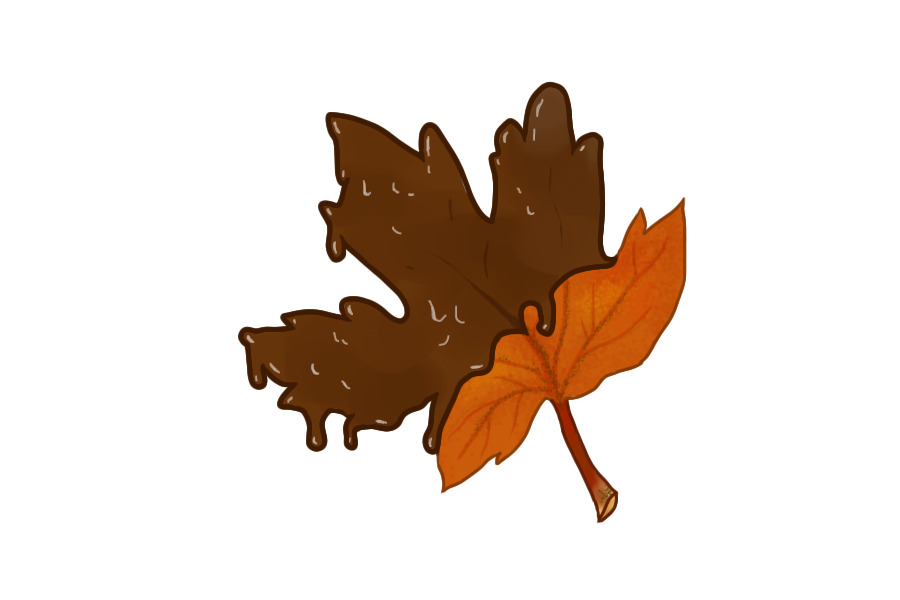 chocolate covered maple leaves