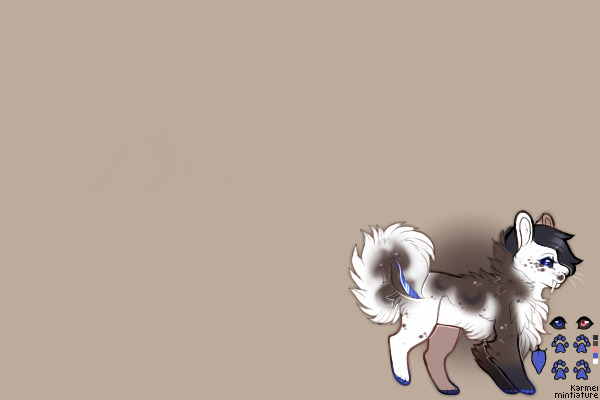 Callum READOPT! WINNER