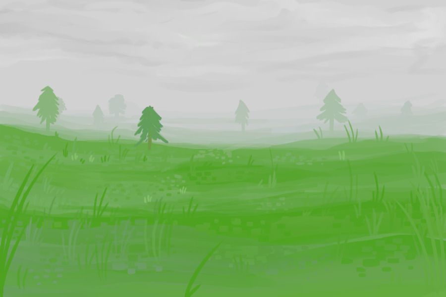 foggy meadow